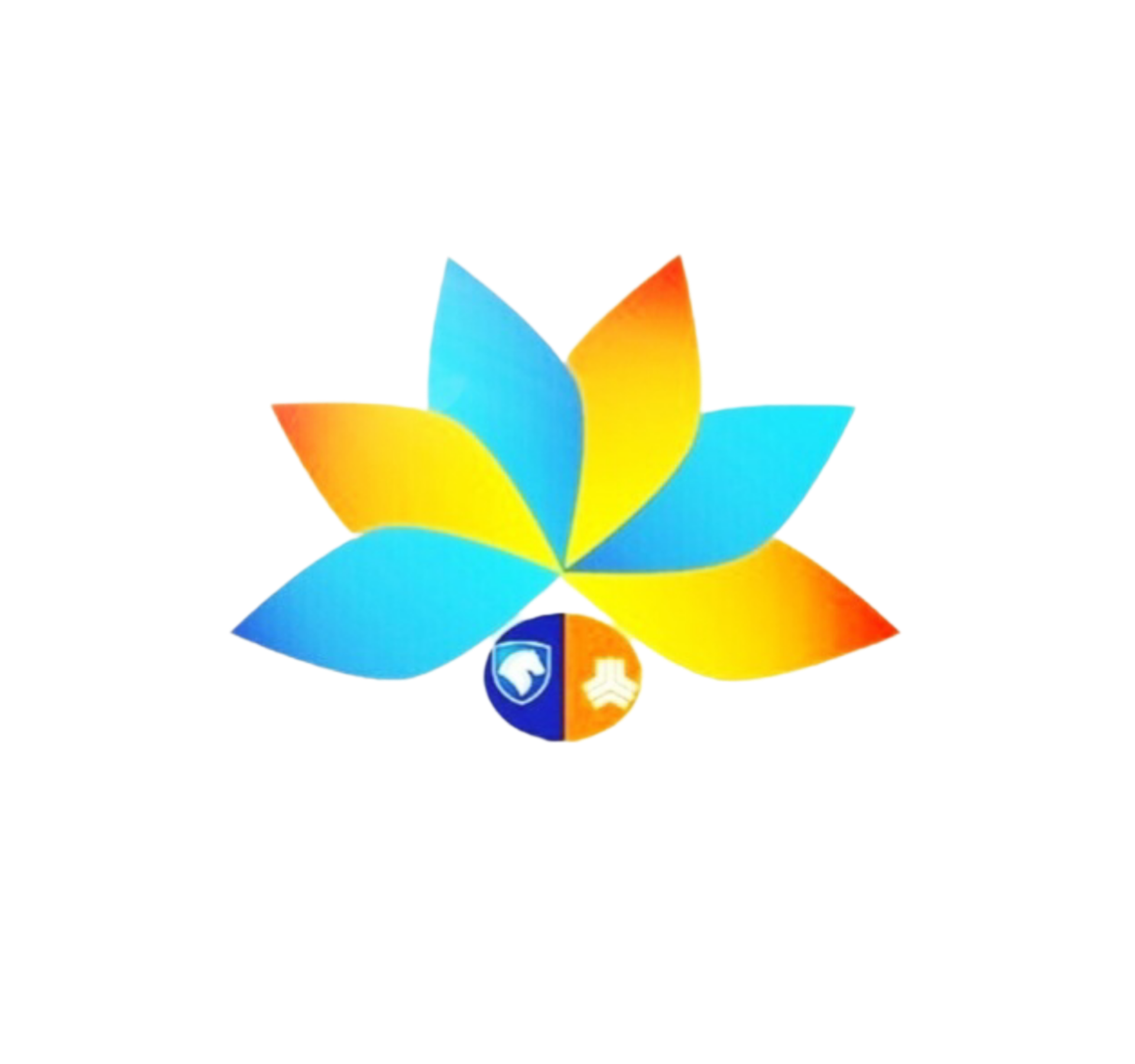 havalestore